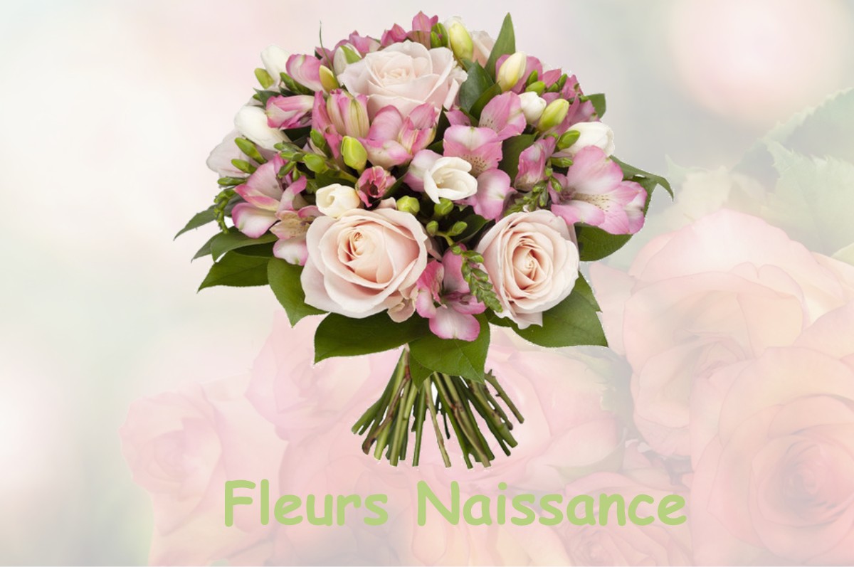 fleurs naissance MARIGNY-L-EGLISE